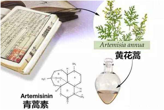 乐动网页版（中国） 首页,：向中医药看齐，与世界共享中医药文化(图1)